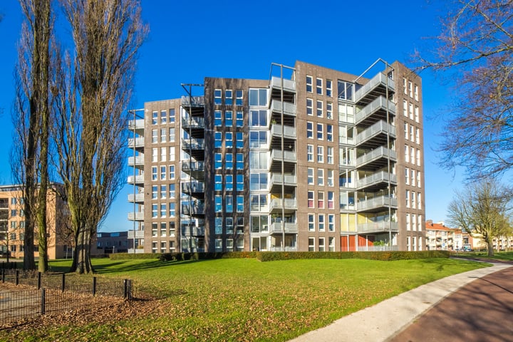 Nijenrodelaan 111 dans Utrecht photo