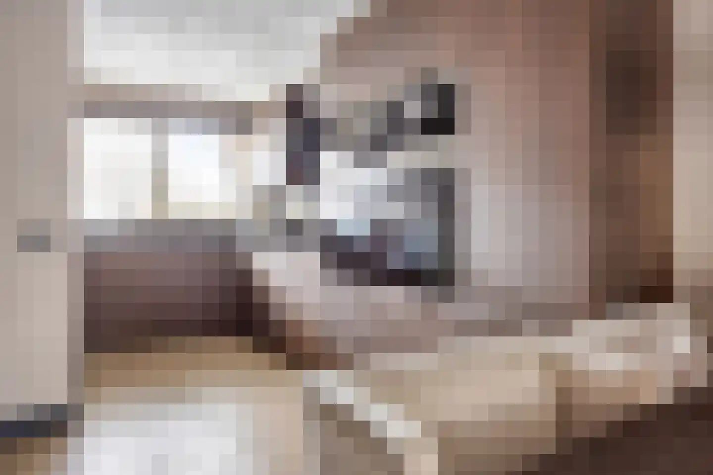 Nijenrodelaan 69 Utrecht thumbnail 18