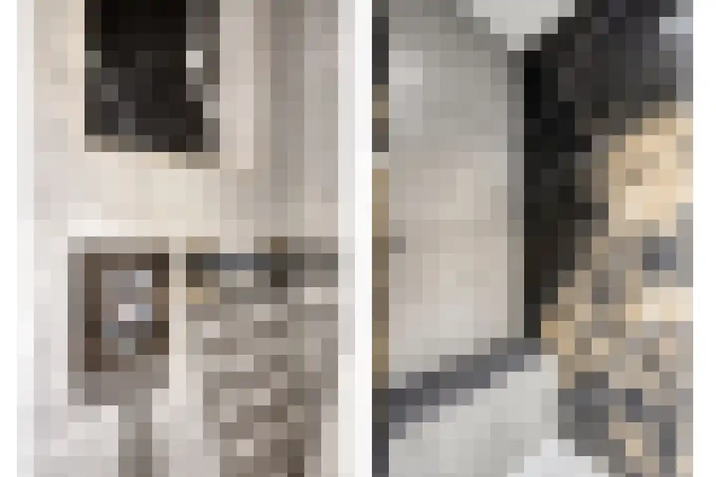Nijenrodelaan 69 Utrecht thumbnail 28