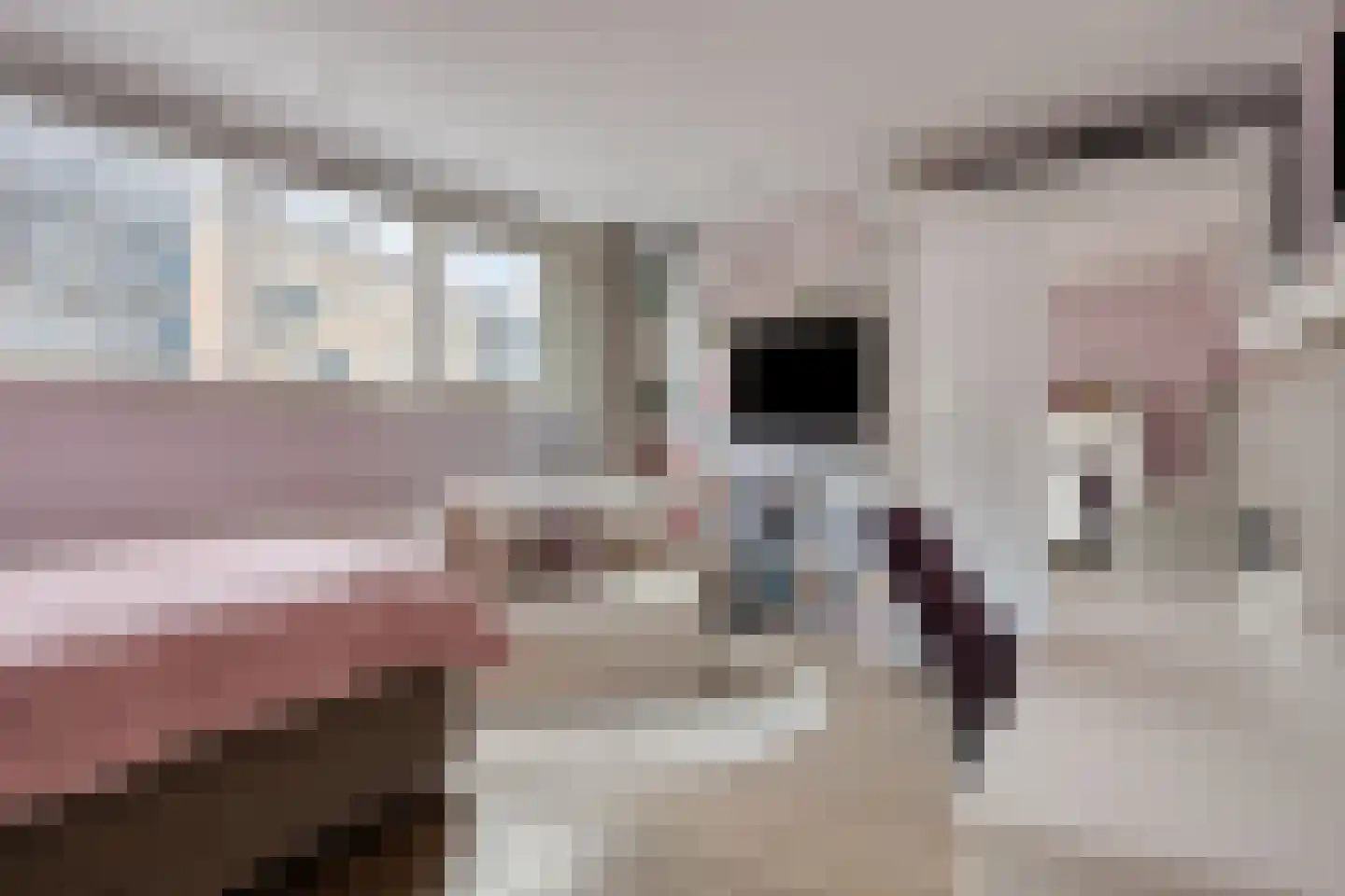 Nijenrodelaan 69 Utrecht thumbnail 35