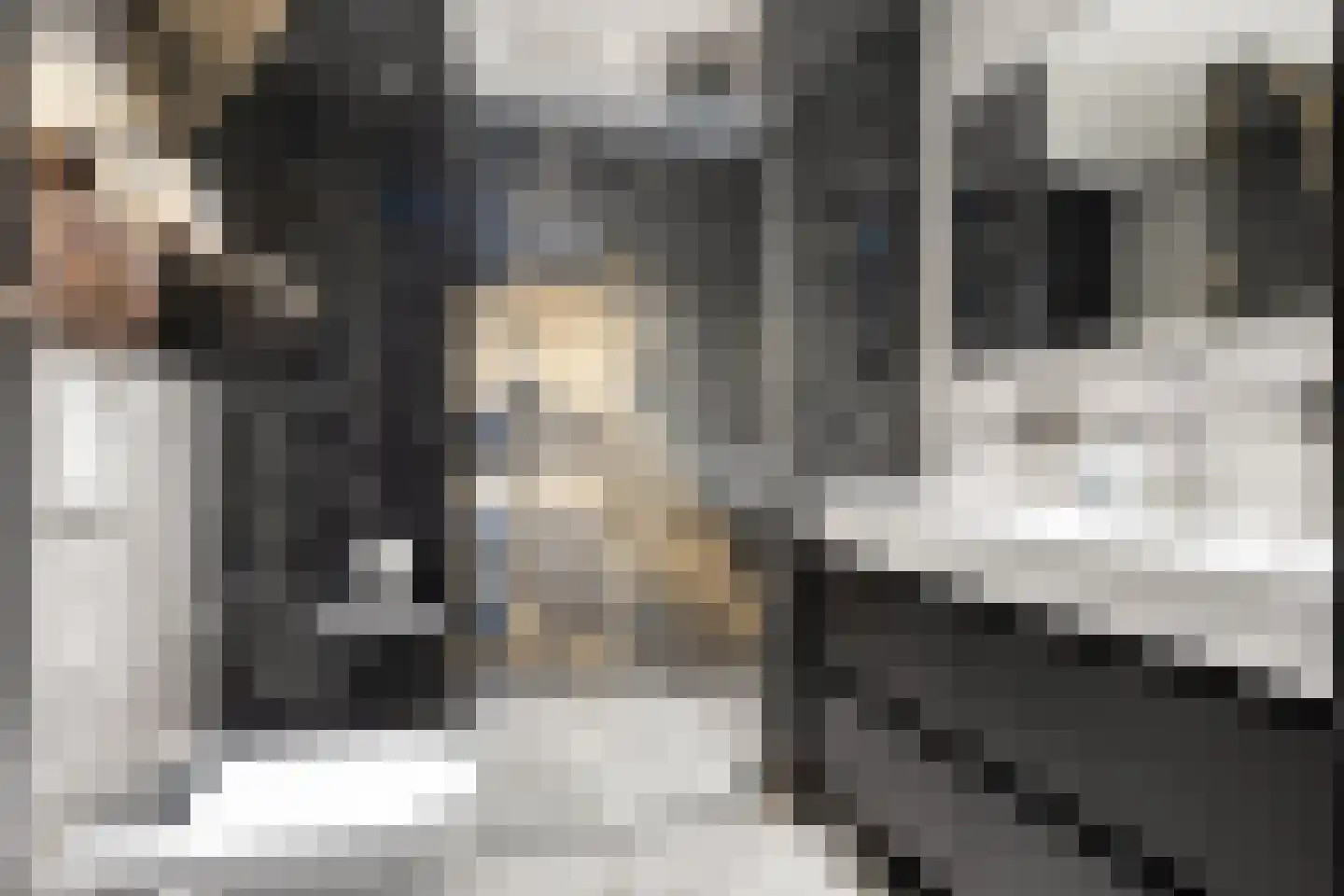 Nijenrodelaan 69 Utrecht thumbnail 4