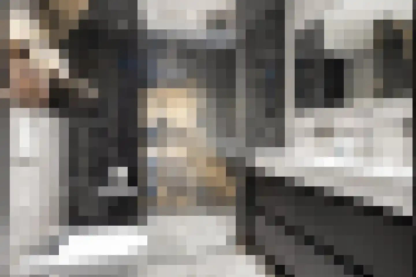 Nijenrodelaan 69 Utrecht thumbnail 4