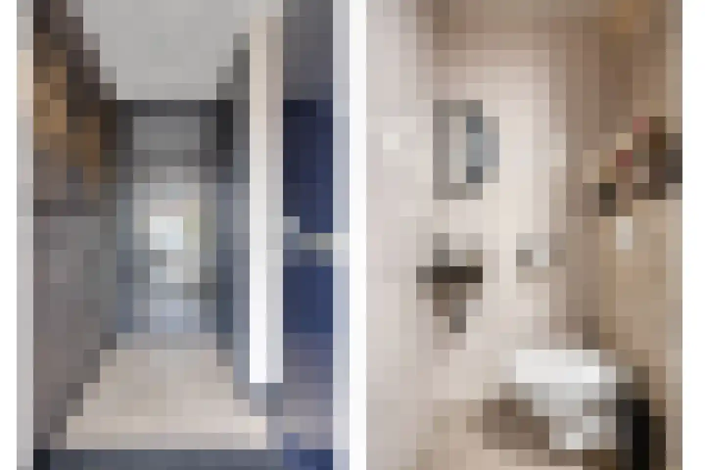 Nijenrodelaan 69 Utrecht thumbnail 7