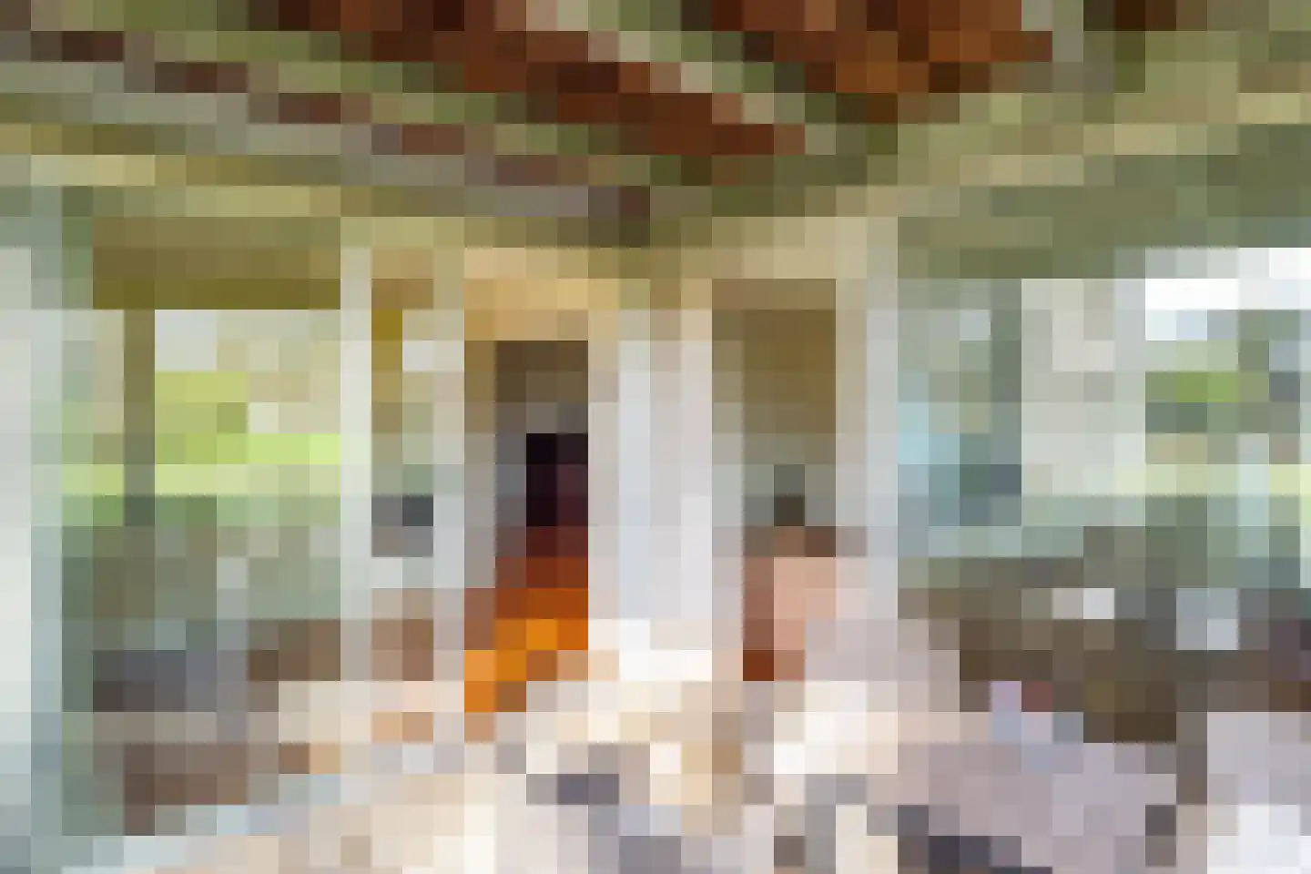 Nijenrodelaan 83 Utrecht thumbnail 15