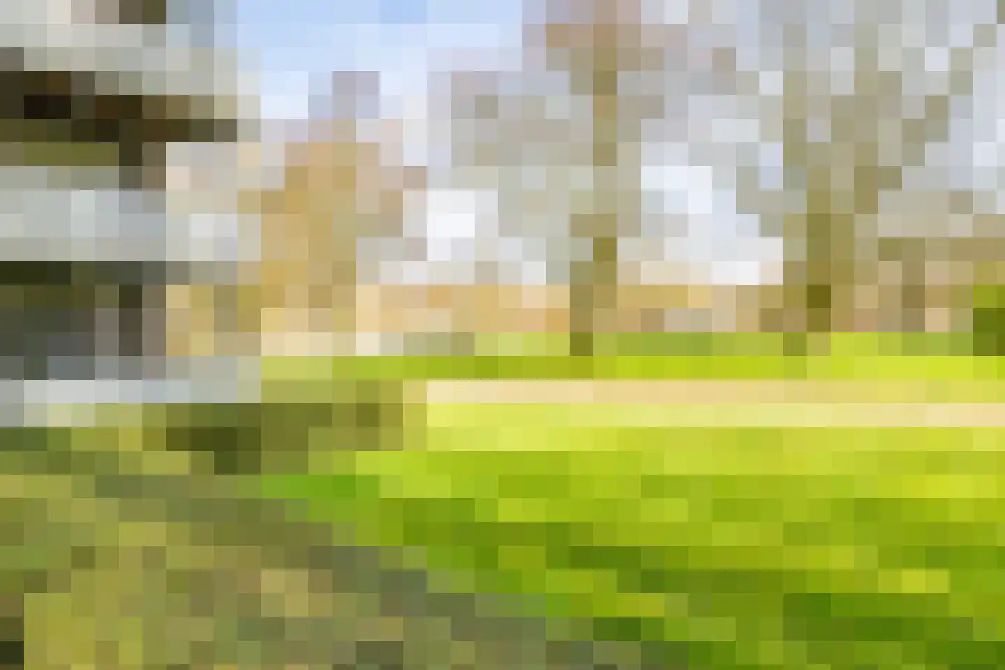 Nijenrodelaan 83 Utrecht thumbnail 45