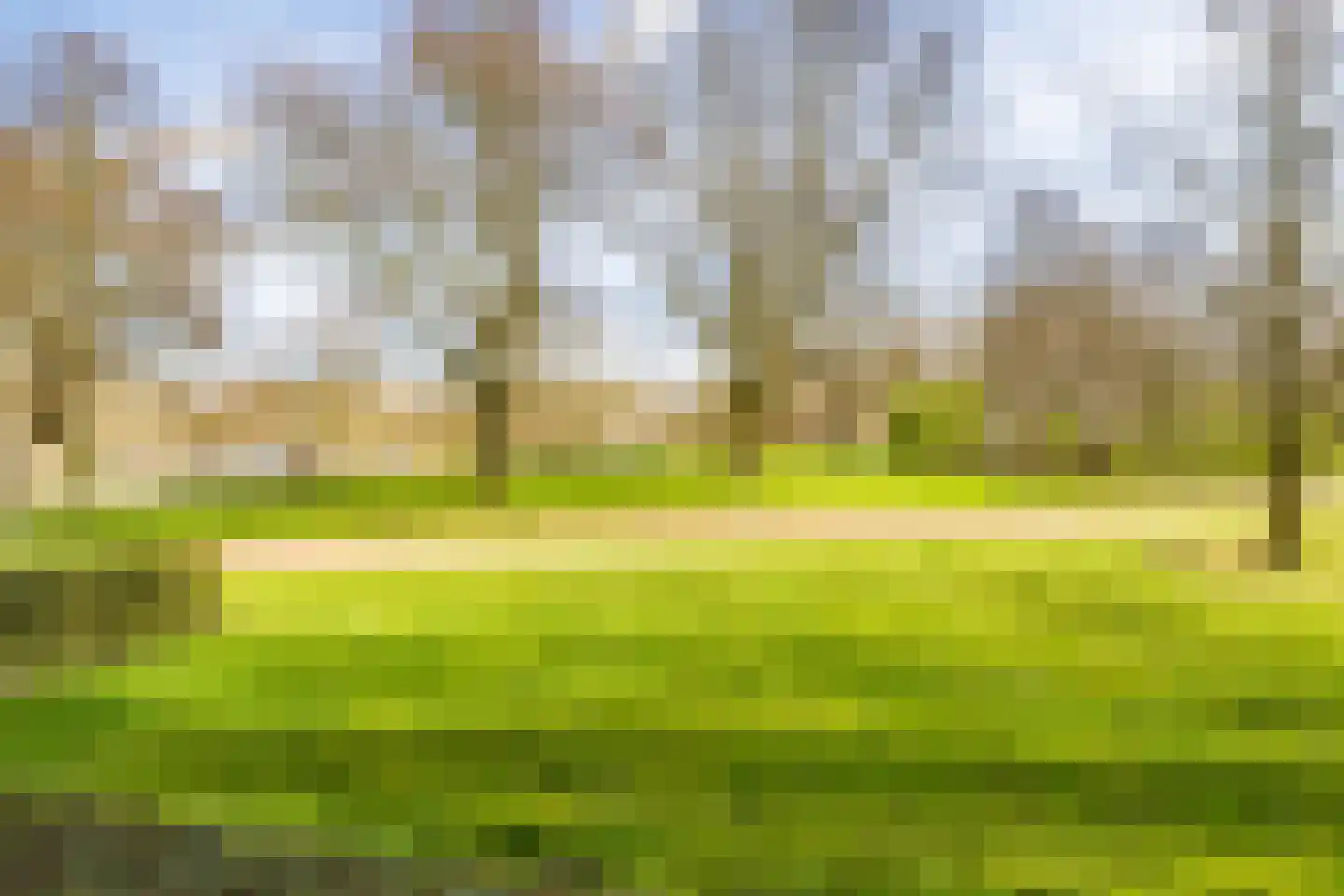 Nijenrodelaan 83 Utrecht thumbnail 46