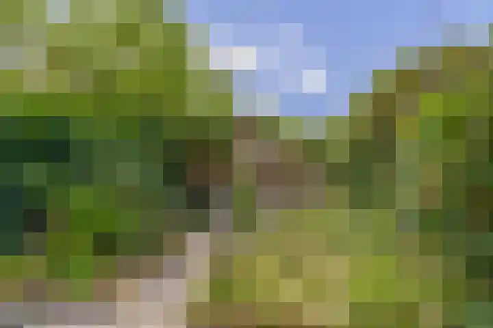 Nijenrodeplantsoen 130 Utrecht thumbnail 15