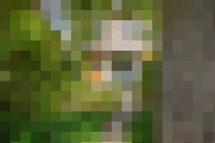 Nijenrodeplantsoen 130 Utrecht thumbnail 17