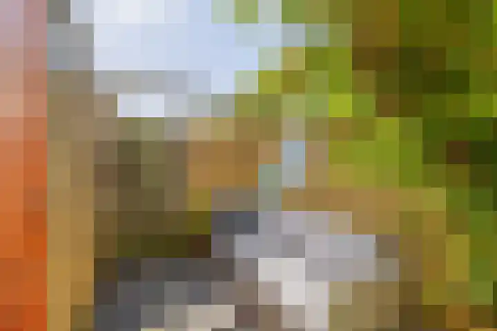 Nijenrodeplantsoen 130 Utrecht thumbnail 21