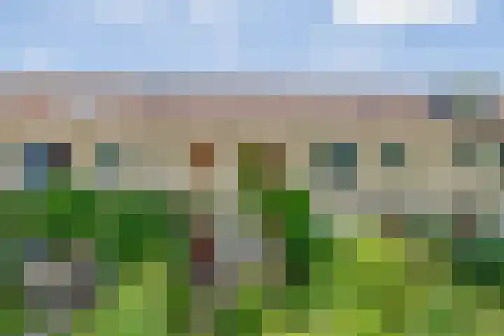 Nijenrodeplantsoen 130 Utrecht thumbnail 31