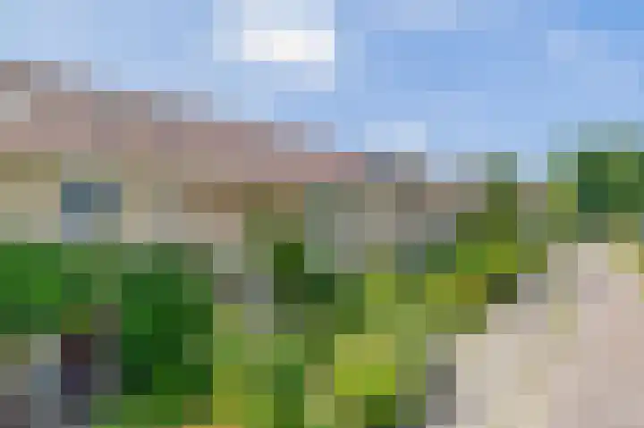 Nijenrodeplantsoen 130 Utrecht thumbnail 32