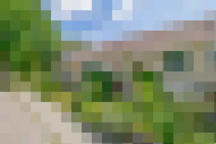 Nijenrodeplantsoen 130 Utrecht thumbnail 33