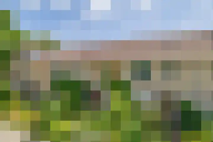 Nijenrodeplantsoen 130 Utrecht thumbnail 34