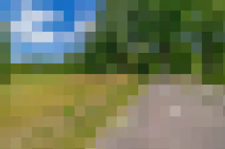 Nijenrodeplantsoen 130 Utrecht thumbnail 35