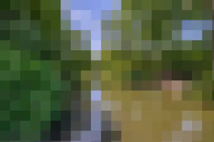 Nijenrodeplantsoen 130 Utrecht thumbnail 36