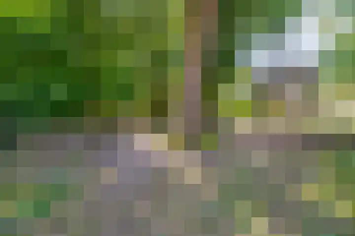 Nijenrodeplantsoen 130 Utrecht thumbnail 37