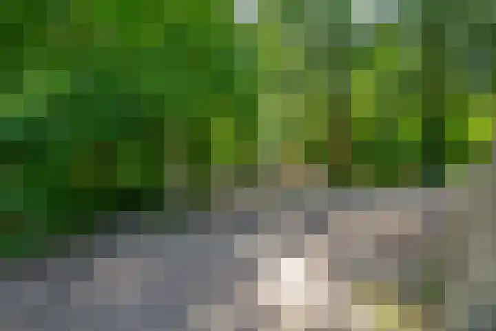 Nijenrodeplantsoen 130 Utrecht thumbnail 38