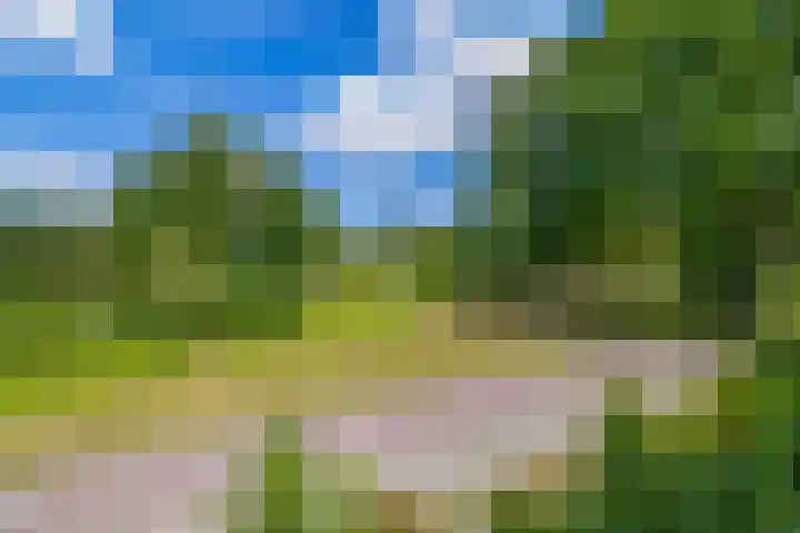 Nijenrodeplantsoen 130 Utrecht thumbnail 39