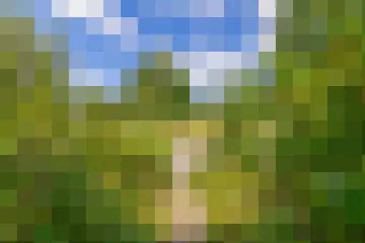 Nijenrodeplantsoen 130 Utrecht thumbnail 40