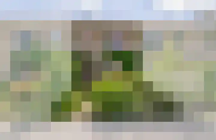 Nijenrodeplantsoen 130 Utrecht thumbnail 5