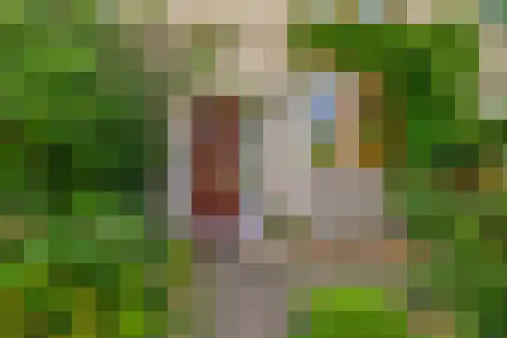 Nijenrodeplantsoen 130 Utrecht thumbnail 6