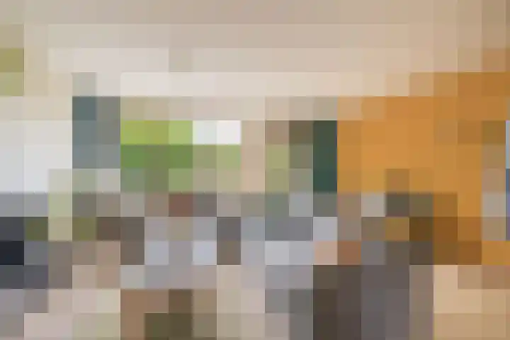Nijenrodeplantsoen 130 Utrecht thumbnail 9