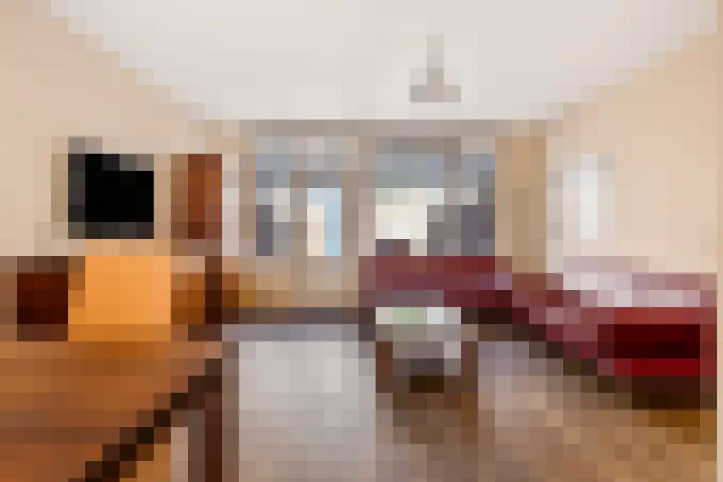 Nijenrodeweg 115 Rotterdam thumbnail 4