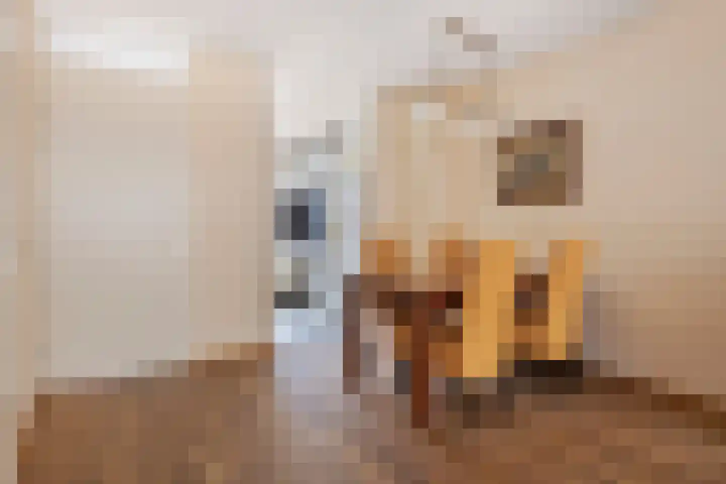 Nijenrodeweg 115 Rotterdam thumbnail 8