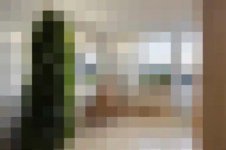 Nijenstein 23 Dordrecht thumbnail 32