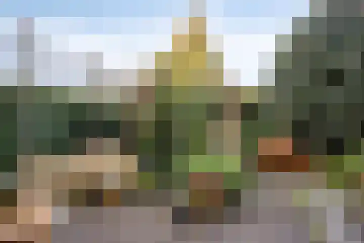 Nijenstein 23 Dordrecht thumbnail 48