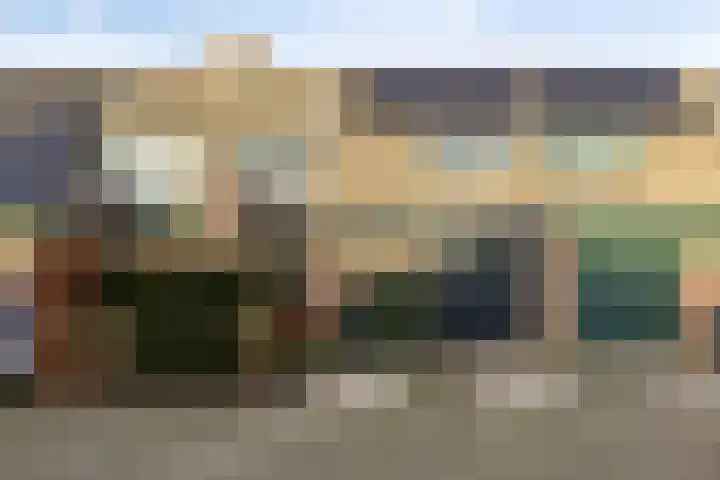 Nijenstein 23 Dordrecht thumbnail 5