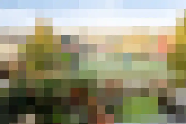 Nijenstein 23 Dordrecht thumbnail 59