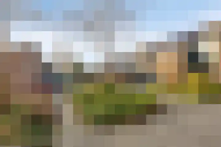 Nijenstein 23 Dordrecht thumbnail 7