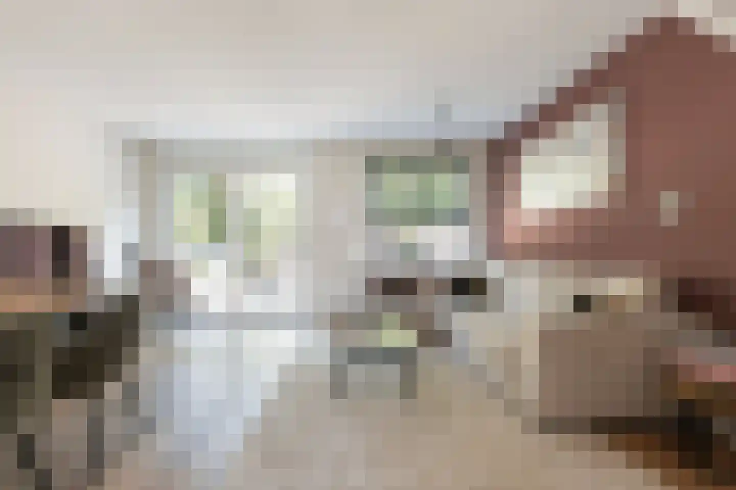 Nijenstein 71 Dordrecht thumbnail 10