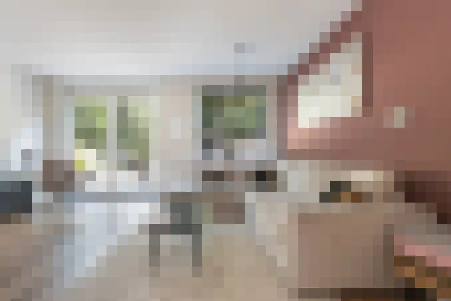 Nijenstein 71 Dordrecht thumbnail 12