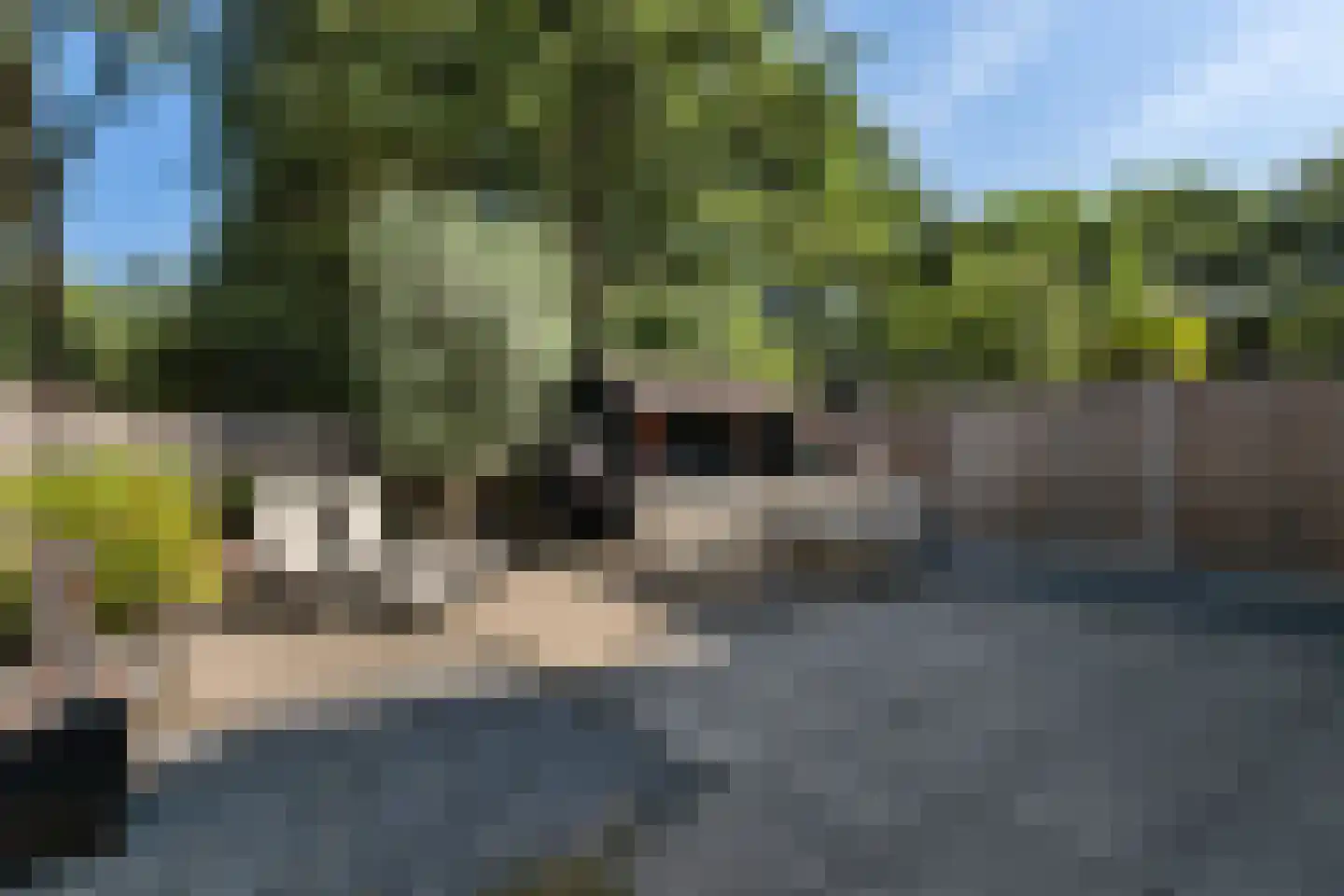 Nijenstein 71 Dordrecht thumbnail 4