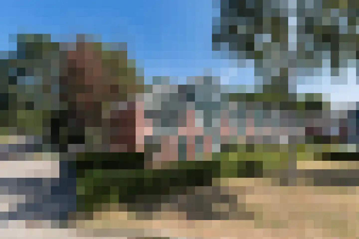 Nijenstein 71 Dordrecht thumbnail 5