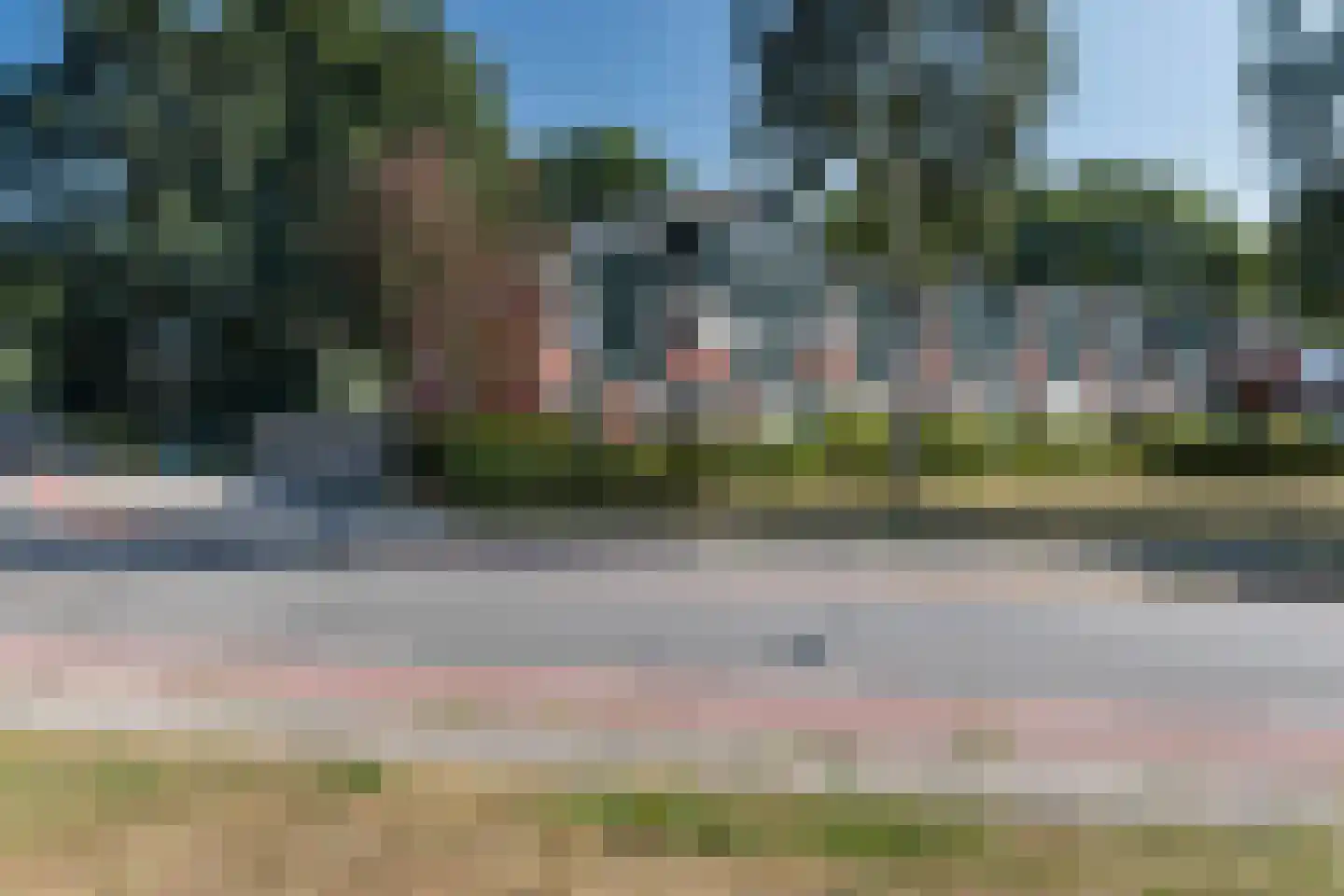 Nijenstein 71 Dordrecht thumbnail 6