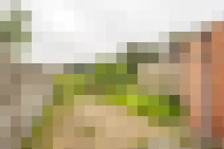 Nijensteinheerd 113 Groningen thumbnail 20