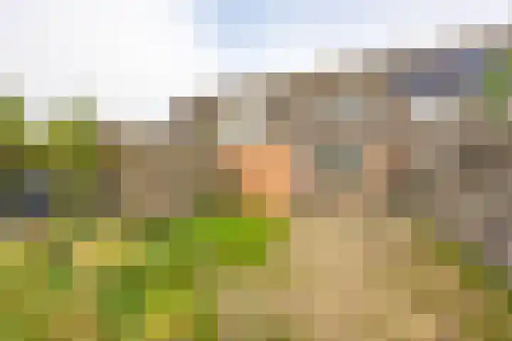 Nijensteinheerd 113 Groningen thumbnail 23