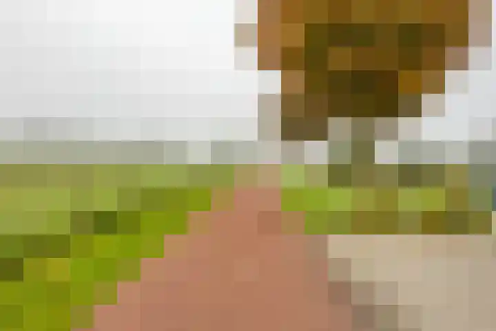 Nijensteinheerd 113 Groningen thumbnail 40