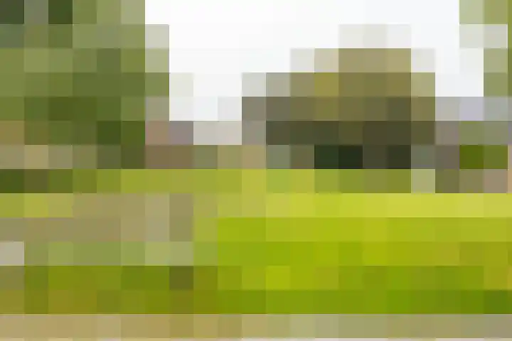Nijensteinheerd 113 Groningen thumbnail 41