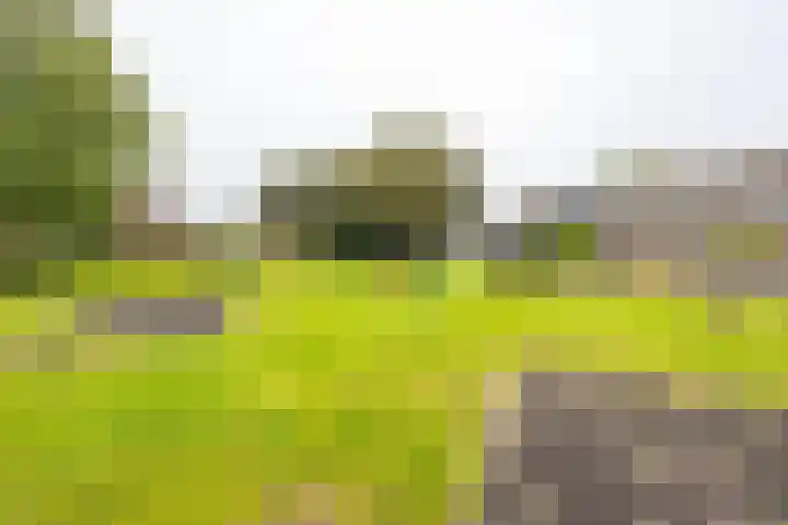 Nijensteinheerd 113 Groningen thumbnail 42