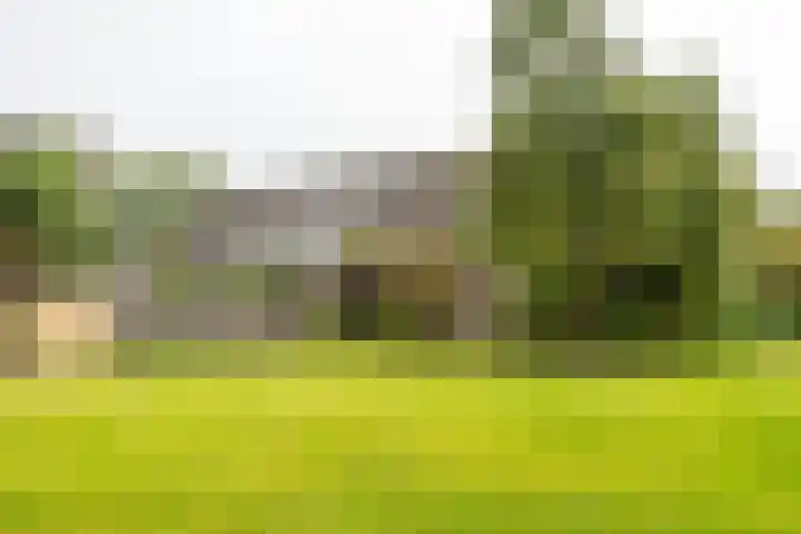 Nijensteinheerd 113 Groningen thumbnail 6