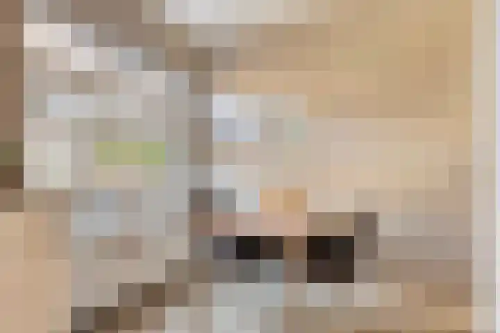 Nijensteinheerd 113 Groningen thumbnail 9