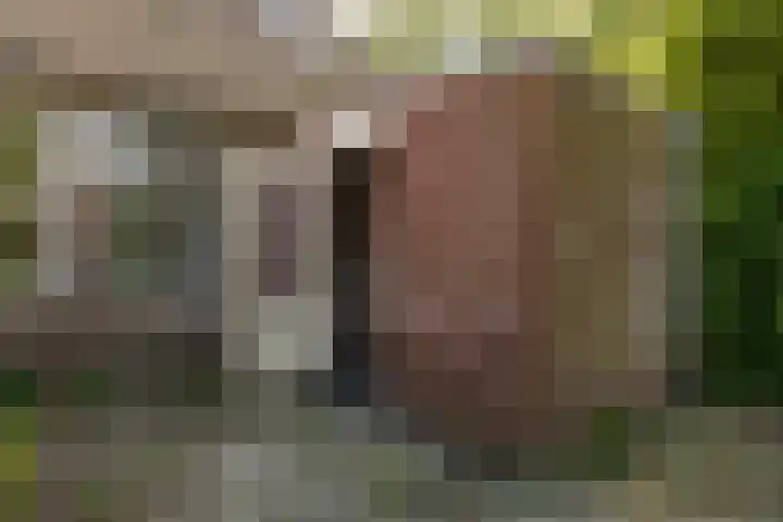 Nijensteinheerd 125 Groningen thumbnail 20