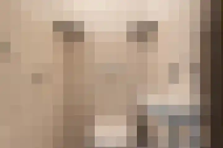 Nijensteinheerd 125 Groningen thumbnail 22