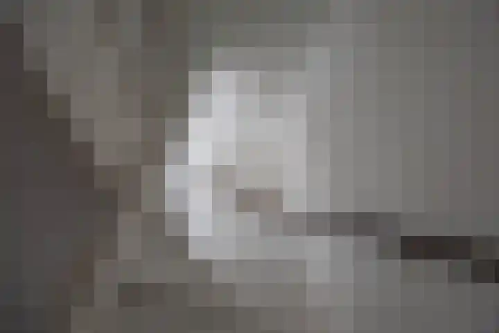 Nijensteinheerd 125 Groningen thumbnail 24
