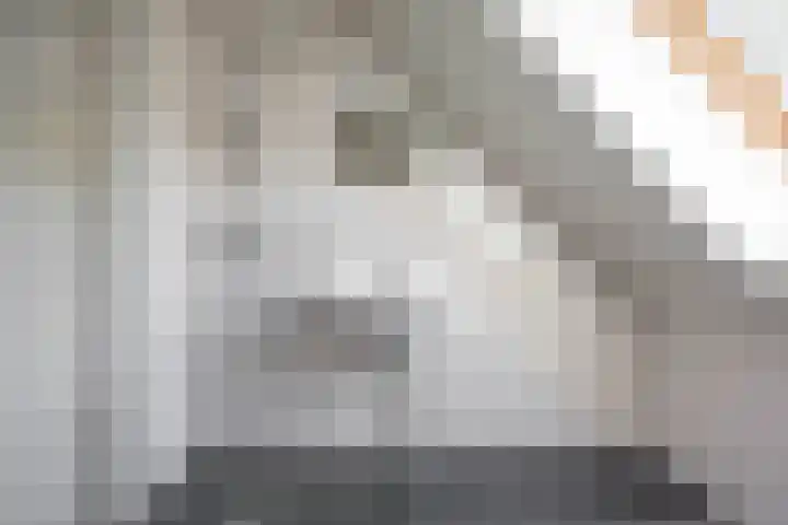 Nijensteinheerd 125 Groningen thumbnail 33
