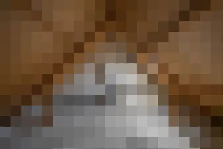 Nijensteinheerd 125 Groningen thumbnail 36